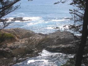 IMG_0876.JPG